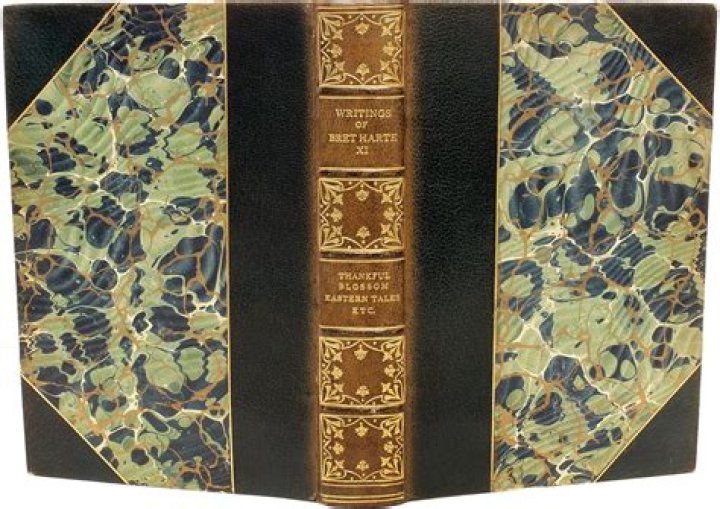 Discover The 19th Century's Literary Genius: Bret Harte