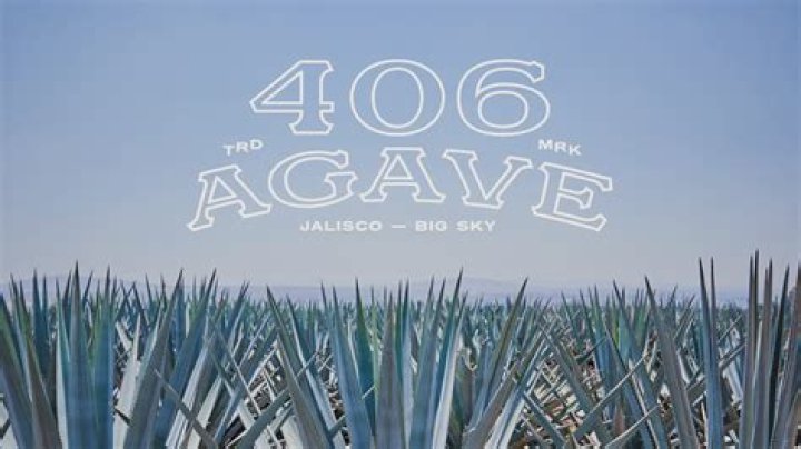 406 Tequila: A Guide To The Best Bottles For Every Occasion