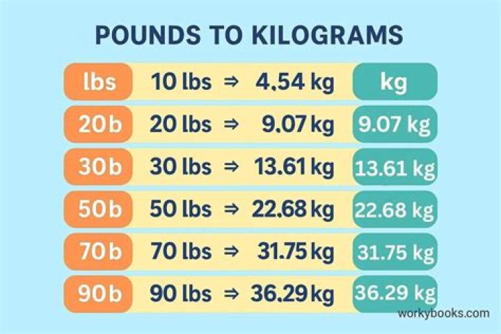 Convert 98.1 Kilograms To Pounds: Instant And Accurate Results