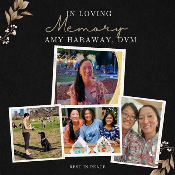 Discover The Impactful Contributions Of Amy Haraway, A Trailblazing Veterinarian And Animal Advocate