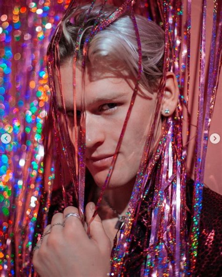 Discover The Incredible Artistic Journey Of Ansel Pierce: From Landscape Master To Abstract Visionary