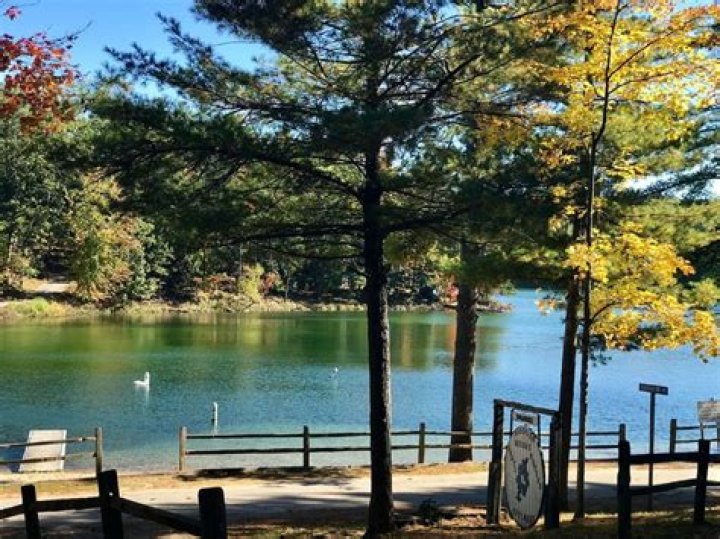 Discover The Enchanting Arbutus Lake In Michigan