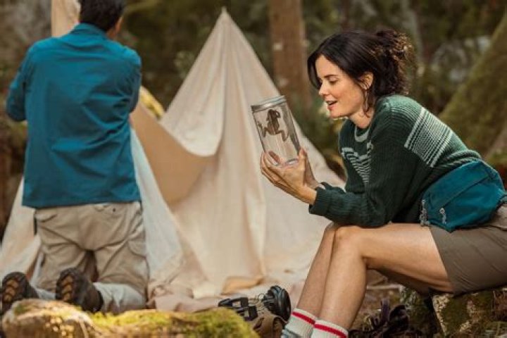 The Ultimate Guide To Ashley Sutton: Career Highlights And Racing Profile