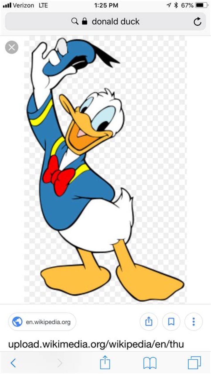 Baldness In Donald Duck: Unveiling The Hairless Wondrous Duck