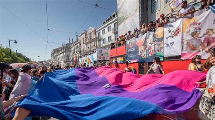 Copyright Controversy: Binet USA's Claim Over Bi Pride Flag Sparks Outrage