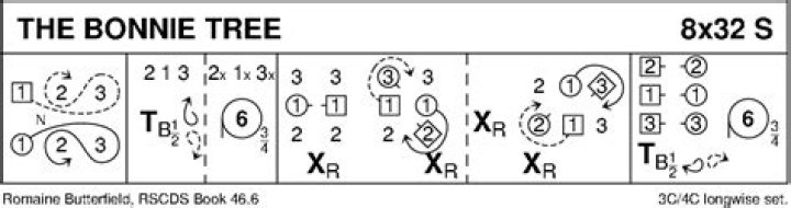 Eye-Catching Bonnie Trees For Your Yard | Tips And Tricks