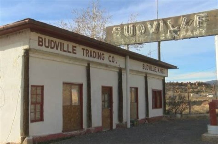 Exploring The Unresolved Mystery: The Budville Murders