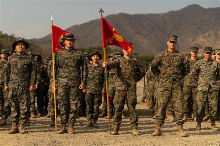 Unveiling The Art Of Choosing War Partners: Secrets And Strategies