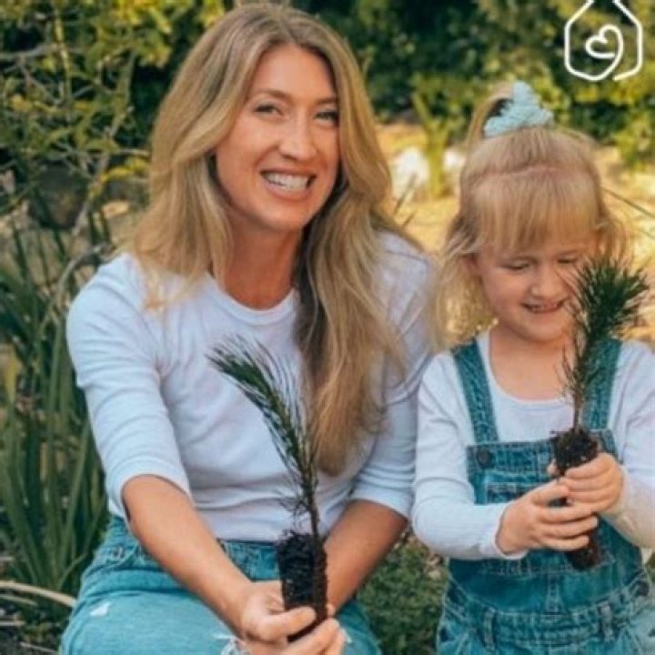 Unraveling The Truth Behind Todd's Death