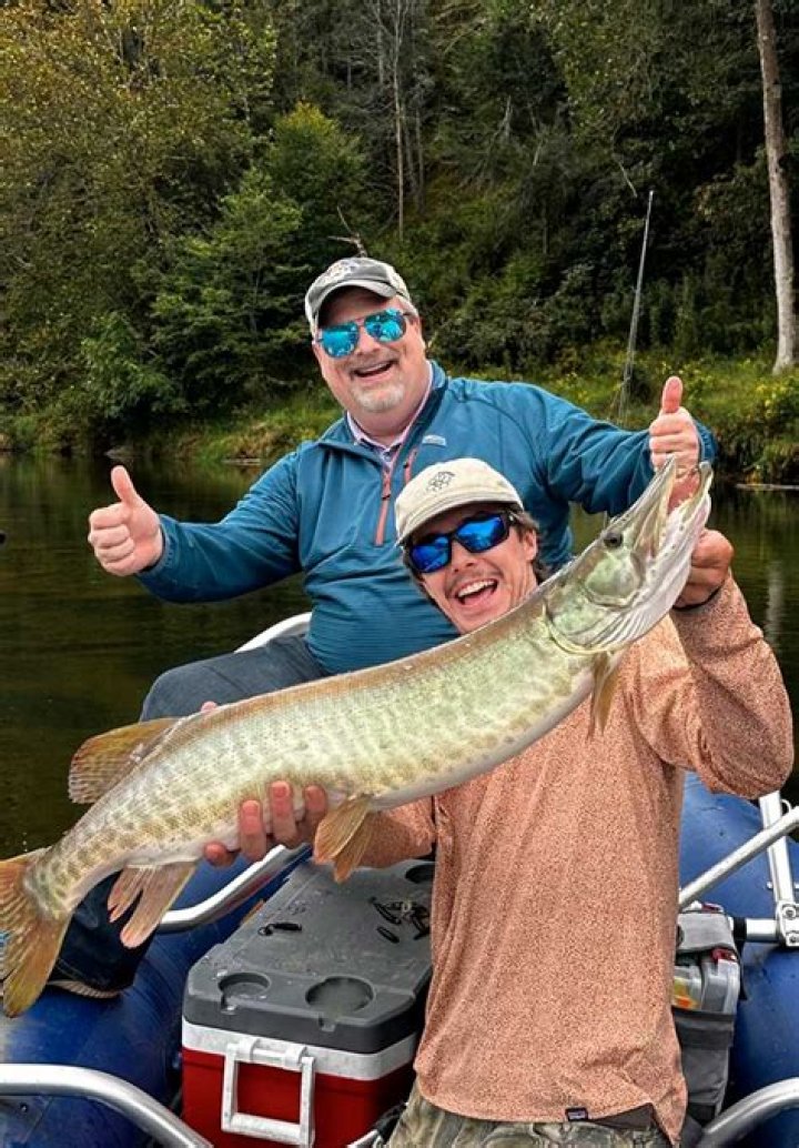 Corey Moser: The Ultimate Guide To His Work And Career