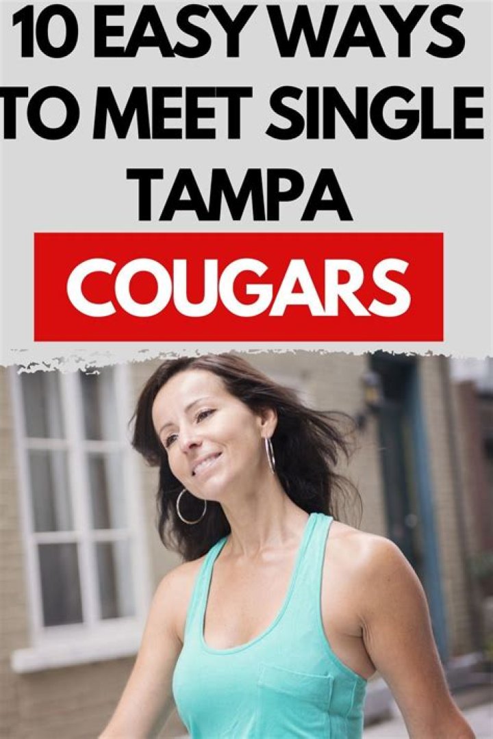 Experts Guide To Finding Cougars In Tampa