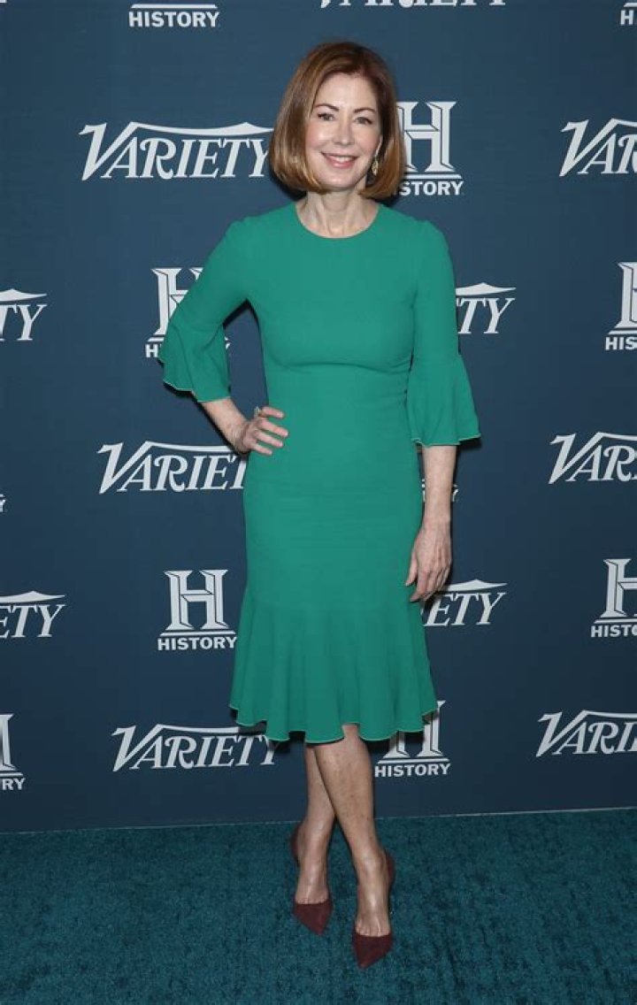 Dana Delany's Captivating Statistics: Height, Weight, Net Worth, And Age Unveiled