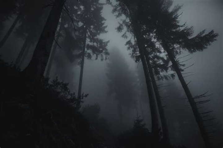 Sinister And Shadowy: Unveiling The Darkness Of Ominous Backgrounds