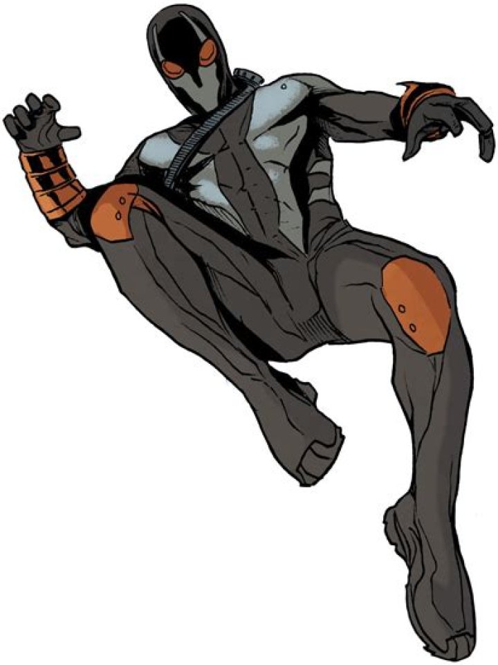 The Ultimate Guide To The Dreaded DC Wolf Spider