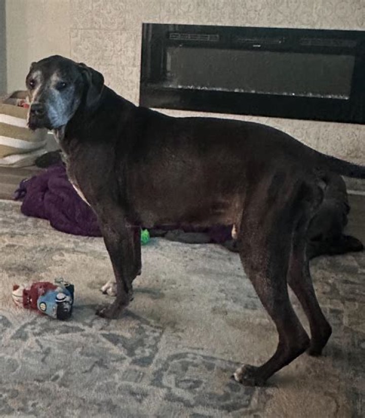 Discover Debra Ramos: An Expert In Her Field