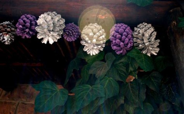 Stunning Decorative Cones: A Touch Of Nature For Your Home
