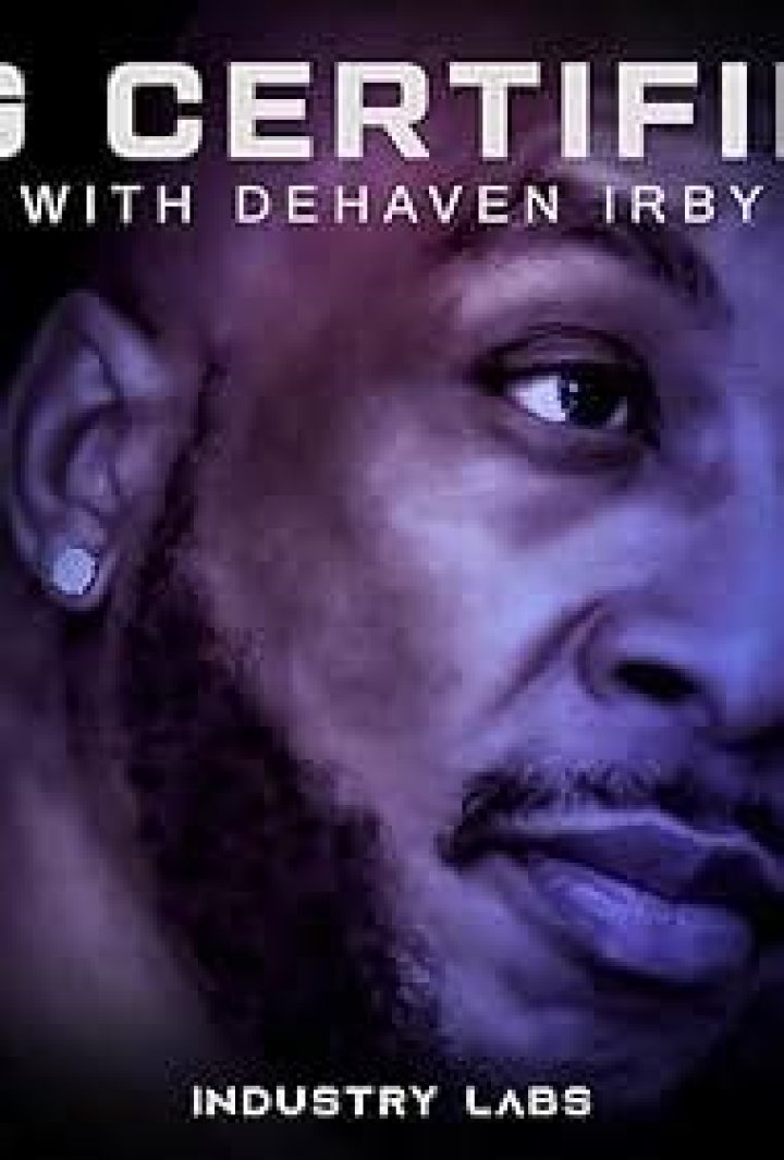 DeHaven Irby's Wealth: Exploring The Net Worth Of The Entertainer