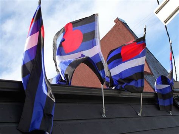 Police Knowledge And Handling Of Abuse In Kinky Relationships