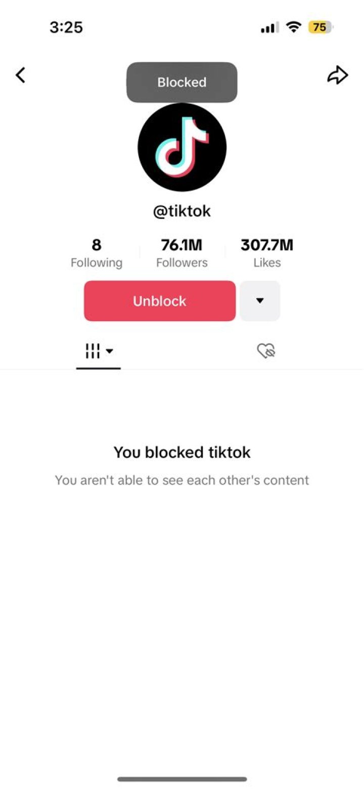 Does Blocking On TikTok Erase Comments? Unveiling Insights