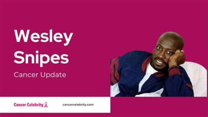 Unveiling Wesley Snipes' Cancer Journey: Discoveries And Insights