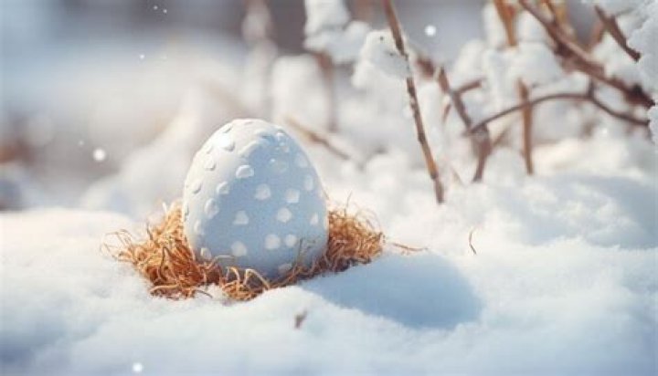 The Ultimate Guide To Easter Snow: Prepare For A Snowy Easter Celebration