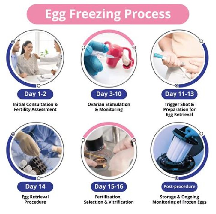 Professional Egg Freezing In Seattle | Preserve Your Future