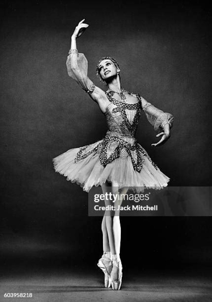 Elisabeth Platel: Trailblazing Ceramicist And Educator