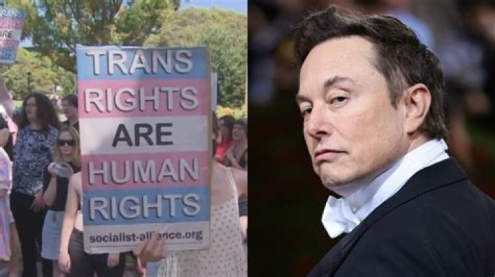 Elon Musk's Shocking Cisgender Slur Declaration On Twitter