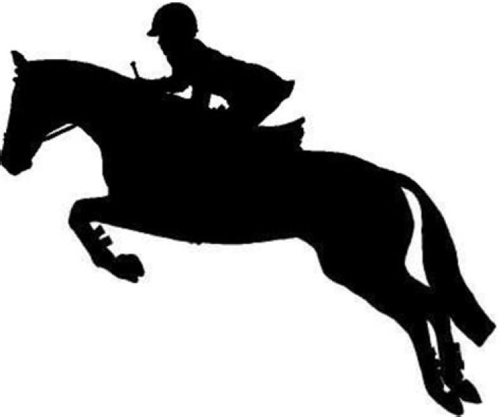 Equestrian Excellence: Unveiling The Majestic English Horse Silhouette