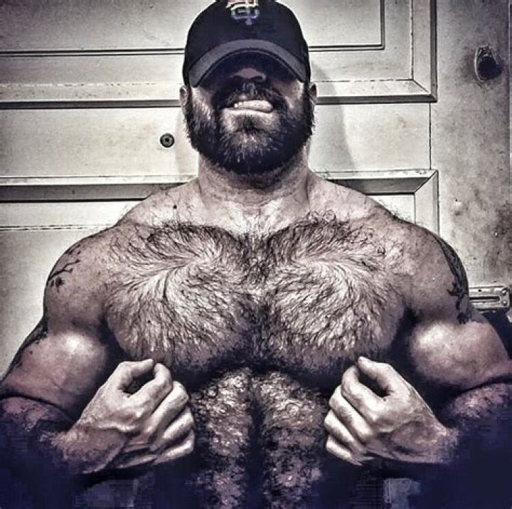 Super Furry Bears: The Ultimate Guide To Extremely Hairy Animals