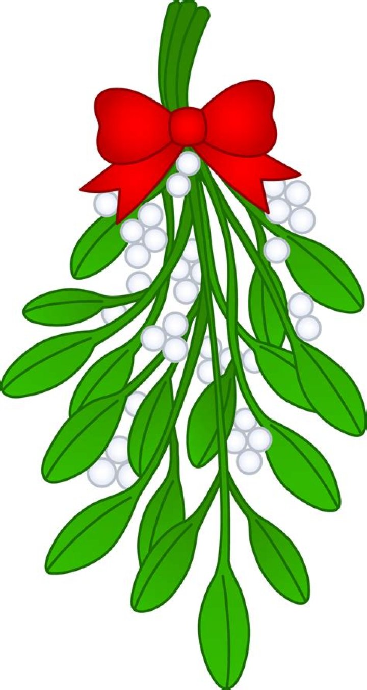 Download Free Mistletoe Clip Art Now