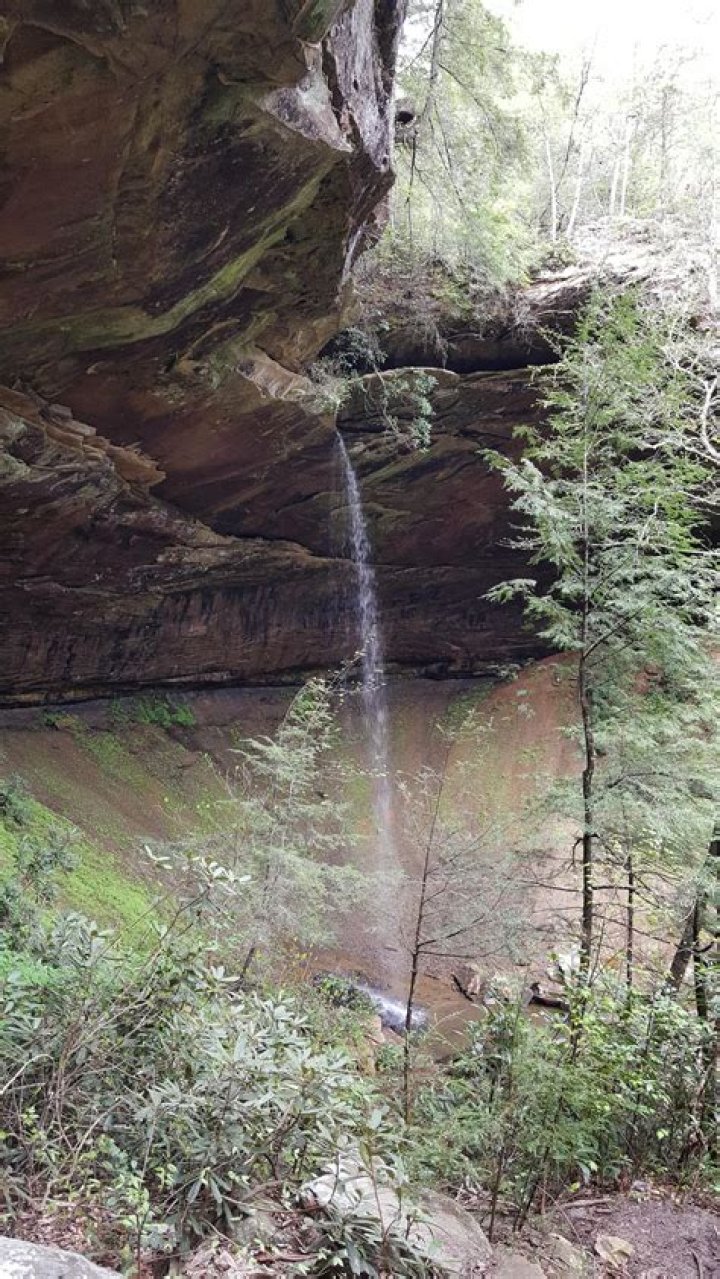 The Ultimate Guide To Friend Slavery: Discover The Secrets Of Ultimate Control