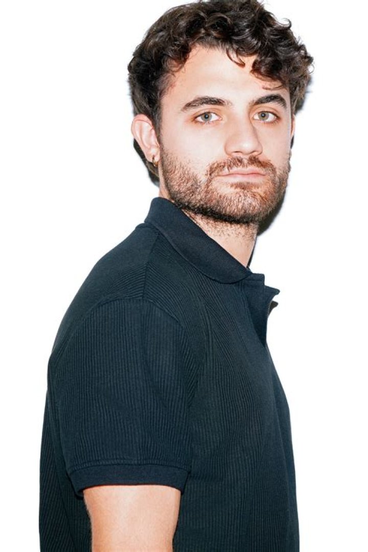 The Ultimate Guide To German Braccos: A Comprehensive Breed Overview