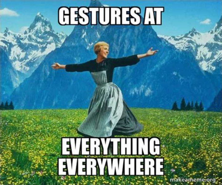 All-Encompassing Gestures: Expressing Everything Through Body Language