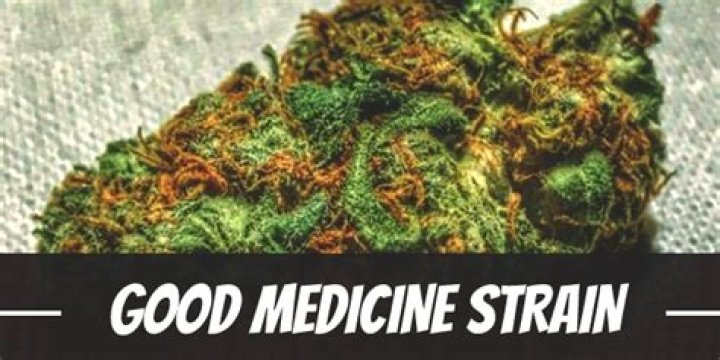 The Ultimate Guide To The Miraculous Good Medicine Strain