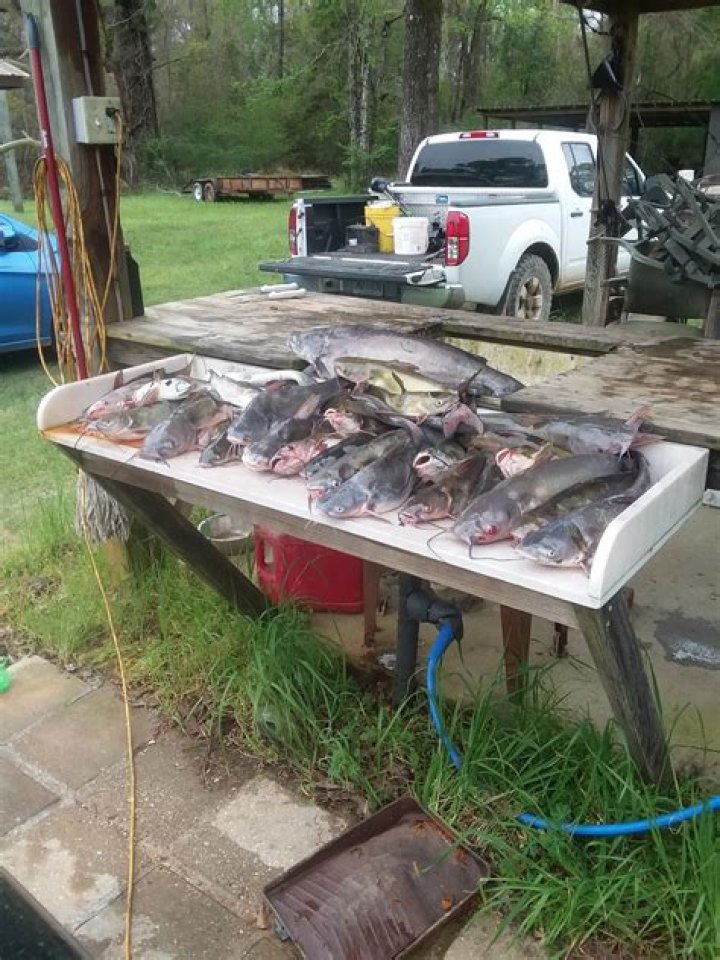 Catfishing Disaster: Help! My Fianc's Deceitful Deception