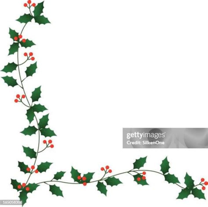 Elegant Holly Leaf Borders For Captivating Designs