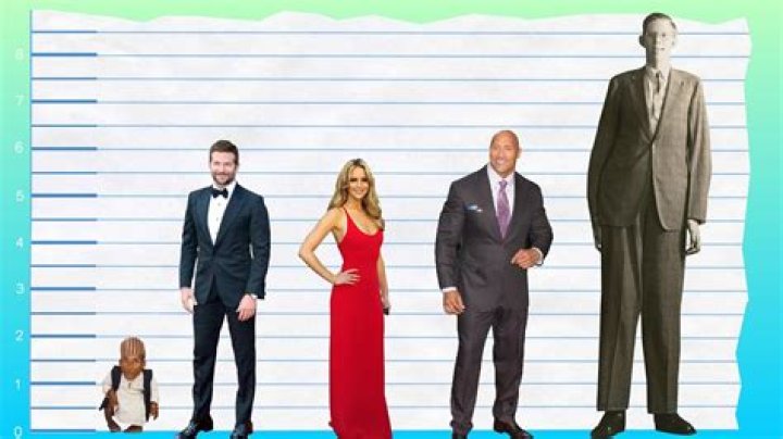 Unveiling Bradley Cooper's Height: Discoveries And Insights Revealed