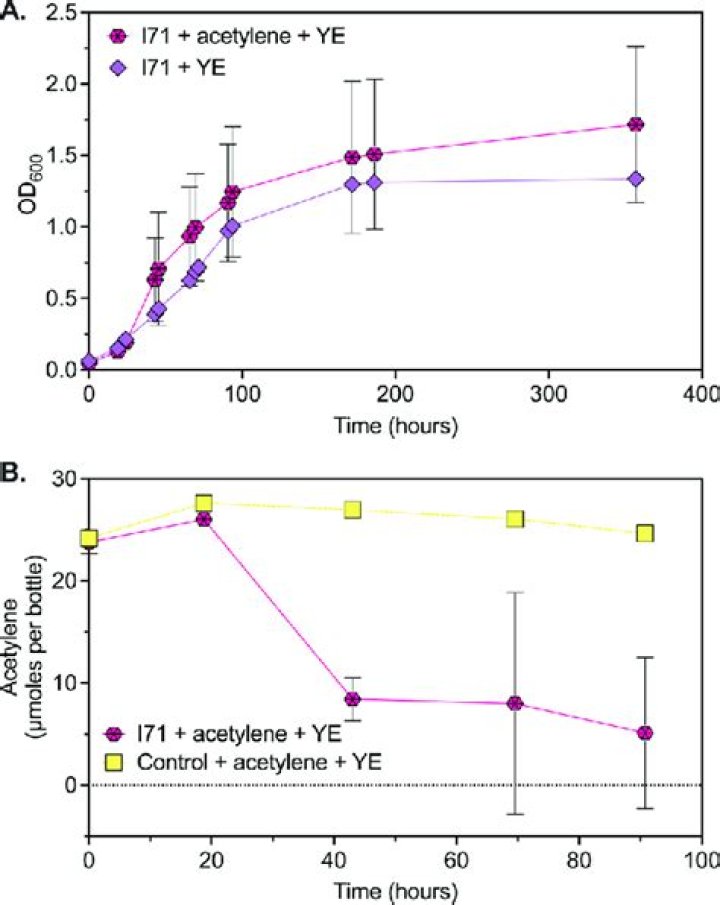 Discover The Amazing Effects Of I71 Strain: A Comprehensive Guide
