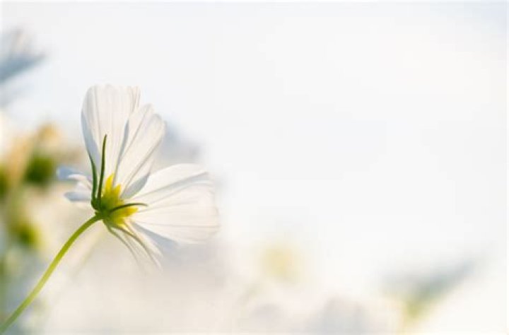 Remembering Ian Berg: A Life Well-Lived