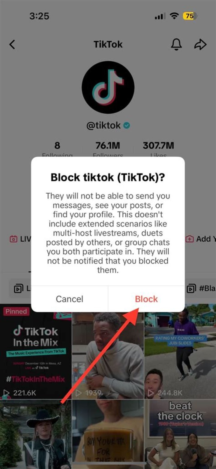 Blocking On TikTok And Its Hidden Implications