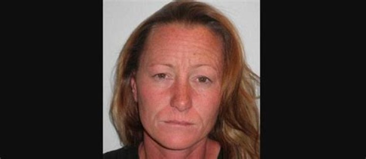 A Promise Of Discoveries And Insights