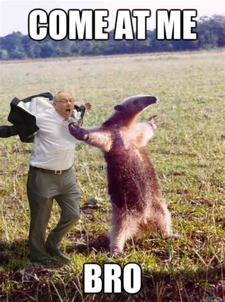 The Ultimate Compilation Of Jim Boeheim Meme Shenanigans