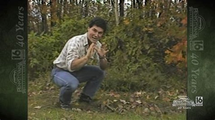 Expert Analysis On Joe Zone WNEP From Trusted Sources