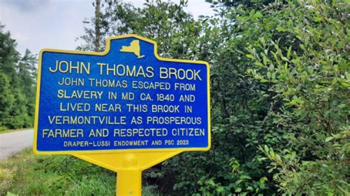 Best Guide To John Thomas Brook