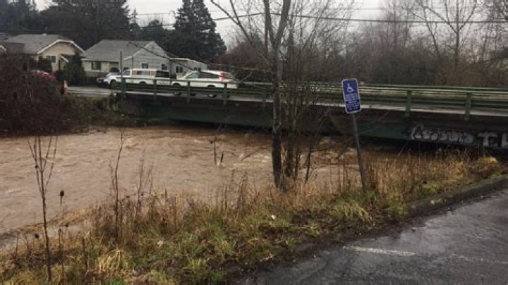 Johnson Creek Flooding: Impacts, Causes, And Solutions