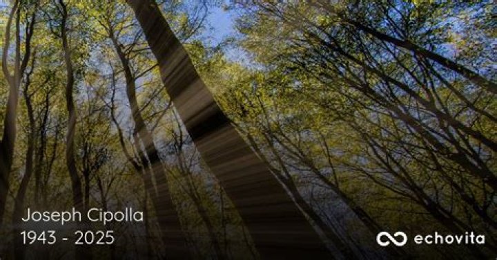 In Memory: The Legacy Of Joseph Cipolla