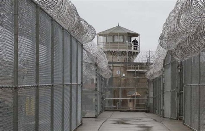 The Ultimate Guide To Kevin Light Roth: A Comprehensive Overview