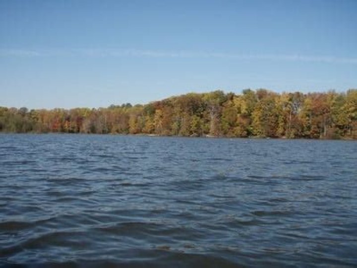Reel In The Excitement: A Comprehensive Guide To Lake Accotink Fishing