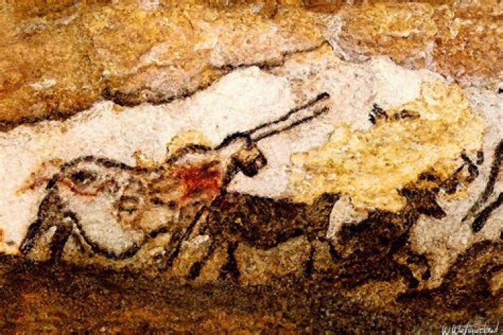 Lascaux Unicorn: A Majestic Depiction From The Stone Age